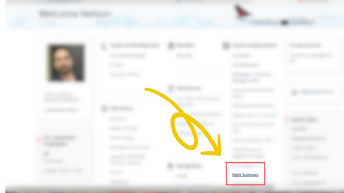 Flight Summary details