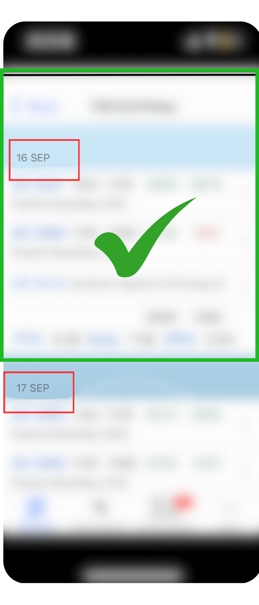 Pairing duty day details